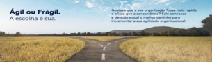 gil ou Frgil 01